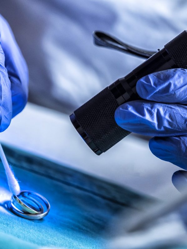 Crime technician examines rings from a crime scene with ultraviolet light in the laboratory,