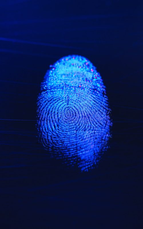 Human finger print as evidence of identity and as a password